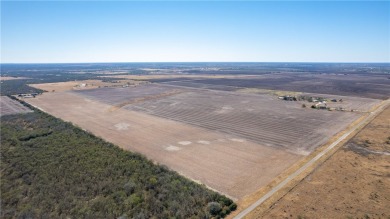 Lake Acreage For Sale in Sandia, Texas