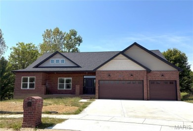 Lake Home For Sale in O'Fallon, Illinois