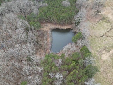 55 acres of versatile land featuring a pond and a beautiful - photo 3