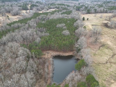 55 acres of versatile land featuring a pond and a beautiful - photo 4