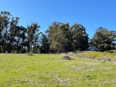 Historic O'Connor Ranch Nestled in the heart of San Luis Obispo - photo 11