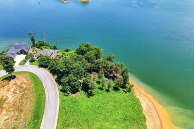 Rare lakefront opportunity on beautiful Douglas Lake! Build your - photo 12