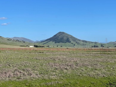 Historic O'Connor Ranch Nestled in the heart of San Luis Obispo - photo 12