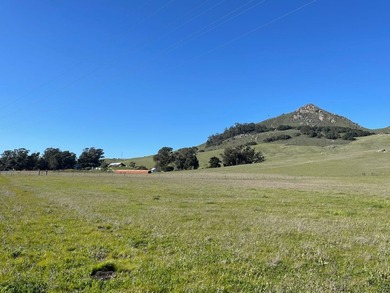 Historic O'Connor Ranch Nestled in the heart of San Luis Obispo - photo 13