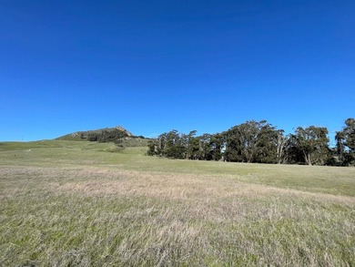 Historic O'Connor Ranch Nestled in the heart of San Luis Obispo - photo 15