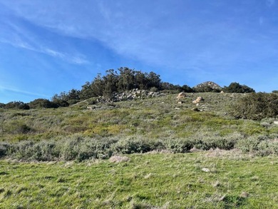 Historic O'Connor Ranch Nestled in the heart of San Luis Obispo - photo 16