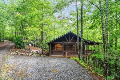 Cherry Log Lake Home Sale Pending in Cherry Log Georgia