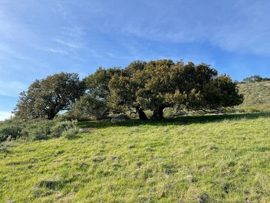 Historic O'Connor Ranch Nestled in the heart of San Luis Obispo - photo 24