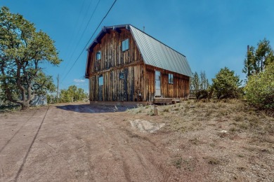 Lake Home For Sale in Prewitt, New Mexico