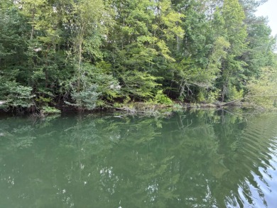 Discover the rare opportunity to own an unrestricted waterfront - photo 3
