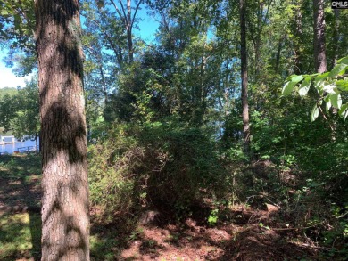 Lake Murray Acreage For Sale in Leesville South Carolina
