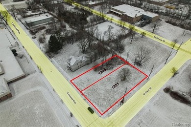 Detroit River Lot For Sale in Detroit Michigan
