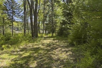 Tucked away in a private, off-the-road setting, this beautifully - photo 43