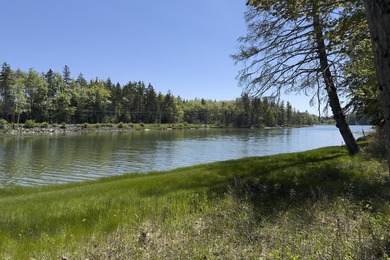 Tucked away in a private, off-the-road setting, this beautifully - photo 44