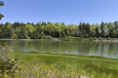 Tucked away in a private, off-the-road setting, this beautifully - photo 45