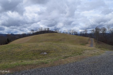 Lake Acreage For Sale in Eidson, Tennessee