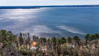 (private lake, pond, coastal) Home For Sale in Avinger Texas