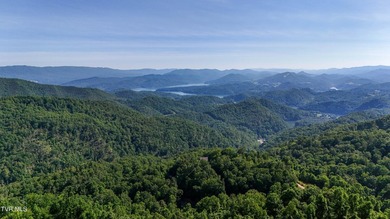 Escape to your own private mountain sanctuary at 807 Vista Road - photo 50