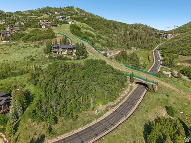 This exceptional .98-acre ski-in/ski-out homesite in Deer - photo 6