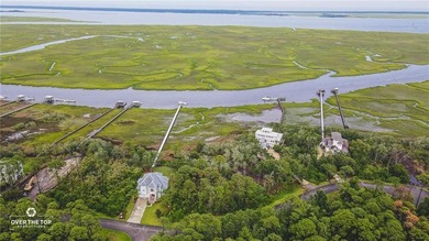 Deepwater Access with easily transferable dock permit!! This - photo 3