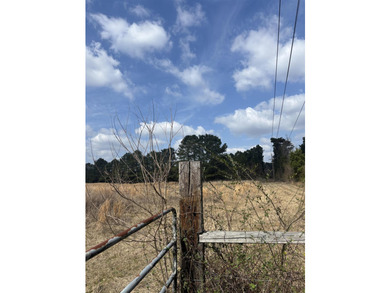 46.613 acres of prime East Texas land just half a mile from - photo 3