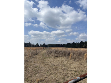 46.613 acres of prime East Texas land just half a mile from - photo 4