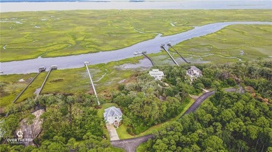 Deepwater Access with easily transferable dock permit!! This - photo 5
