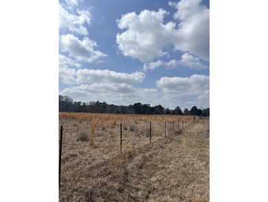 46.613 acres of prime East Texas land just half a mile from - photo 5