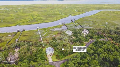 Deepwater Access with easily transferable dock permit!! This - photo 6
