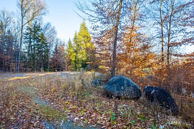 Rare opportunity to own a 9.16 acre buildable lot within the - photo 11