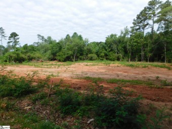 Lake Hartwell Acreage For Sale in Anderson South Carolina