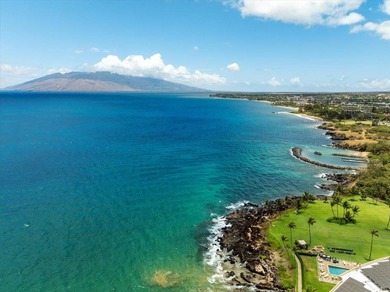 OWN PRIME MAUI REAL ESTATE! Kihei Surfside 213 is a direct - photo 38