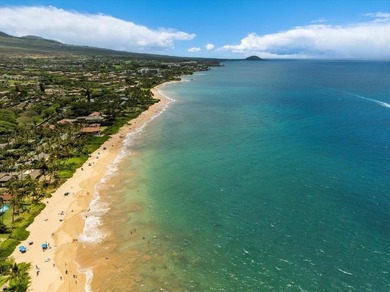 OWN PRIME MAUI REAL ESTATE! Kihei Surfside 213 is a direct - photo 39