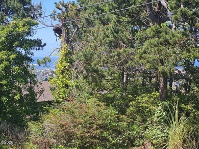 Ocean-view lot zoned R-4 (High Density Multi-Family Residential) - photo 5