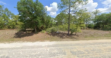 Lehigh Acres Area Lot For Sale in Lehigh Acres Florida