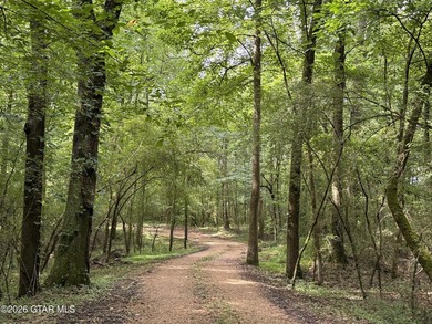 Rare opportunity! Over 20 acres on the Tombigbee River in the - photo 7