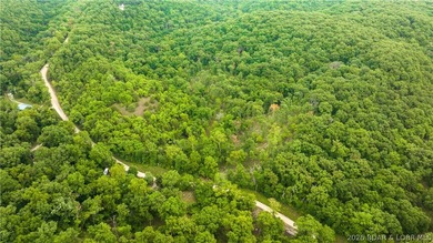 780 Wolf Pen Hollow in Camdenton offers nearly 13 acres of - photo 11