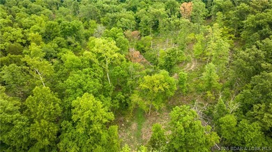 780 Wolf Pen Hollow in Camdenton offers nearly 13 acres of - photo 12