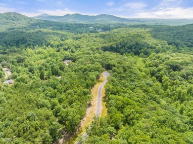 Chimney Lake  Lot Sale Pending in Cleveland Georgia