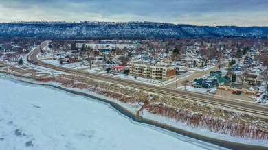 Lake Condo For Sale in Lake City, Minnesota