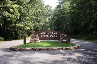 NEW LOWER PRICE! Desirable Location Between Mooresville and - photo 47