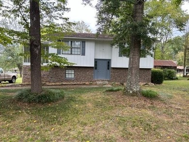 Hiwassee River Home For Sale in Decatur Tennessee