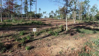 Toledo Bend Lake Lot For Sale in Milam Texas