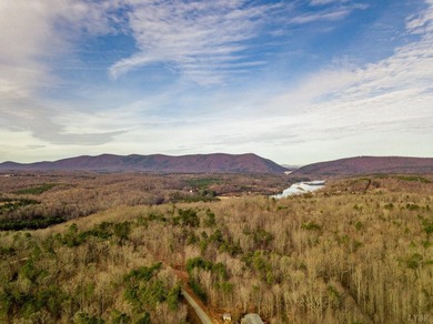 Rare opportunity! 4.90 acres of pristine wooded bliss with lake - photo 5