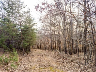 Rare opportunity! 4.90 acres of pristine wooded bliss with lake - photo 9