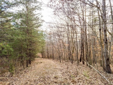 Rare opportunity! 4.90 acres of pristine wooded bliss with lake - photo 10