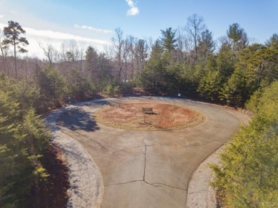 Lake Lot For Sale in Pittsville, Virginia
