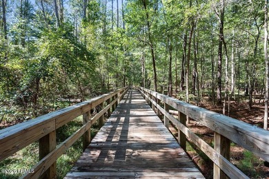 Super Clean, Move-In Ready Home in Sun City Hilton Head - NO - photo 39