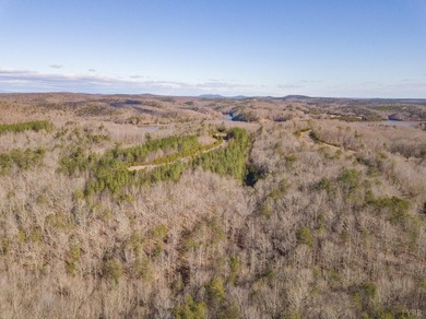 Welcome to your dream home's future address! This 0.97-acre lot - photo 10