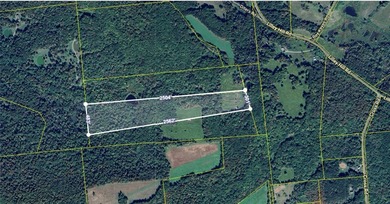 (private lake, pond, coastal) Acreage For Sale in South New Berlin New York